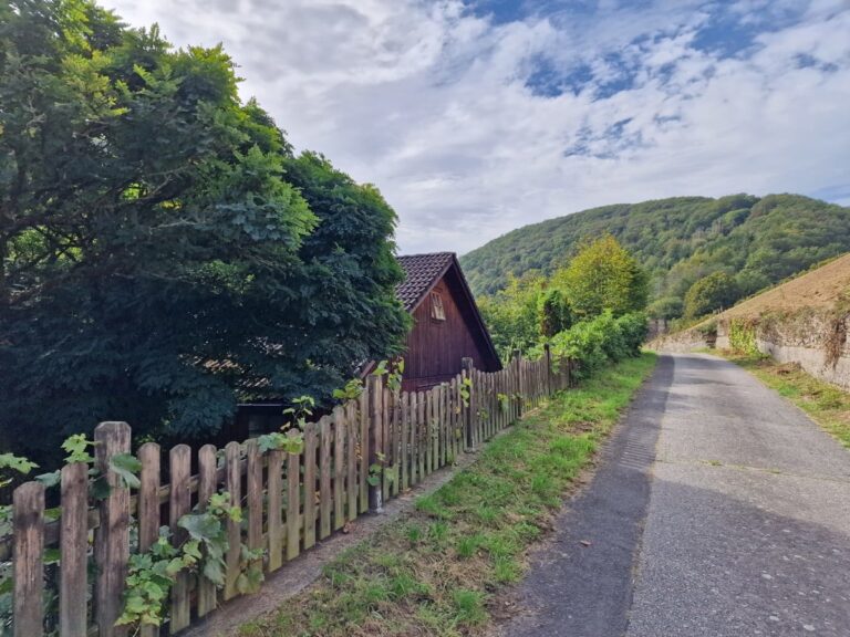 Individuell – Nachhaltig – Zeitlos – Naturnahes Familienhaus in Randlage