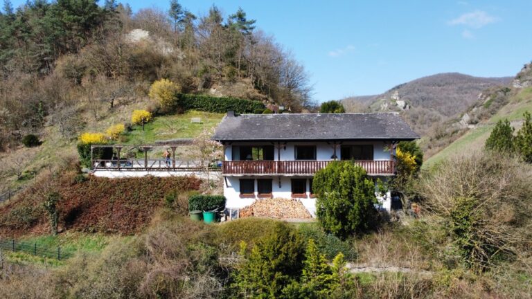 Grünes Glück – Einfamilienhaus mit Schwimmbad und stilvoller Innenausstattung