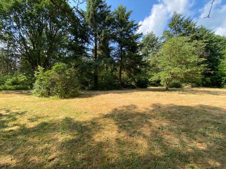 Erholung pur! Wundervolles 3.070 m² Grundstück im Wochenendgebiet