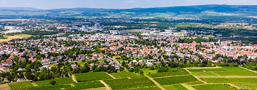 Ingelheim