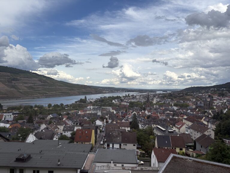 Wohnen mit Rheinblick – Eigentumswohnung im Binger Panoramahaus