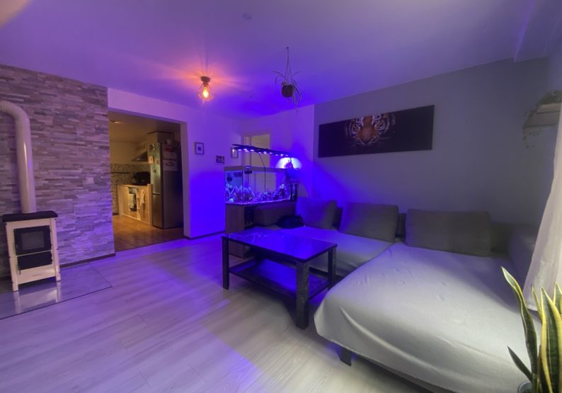 Wohnzimmer EG