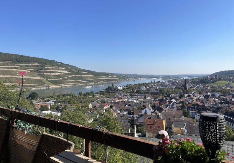 Ausblick