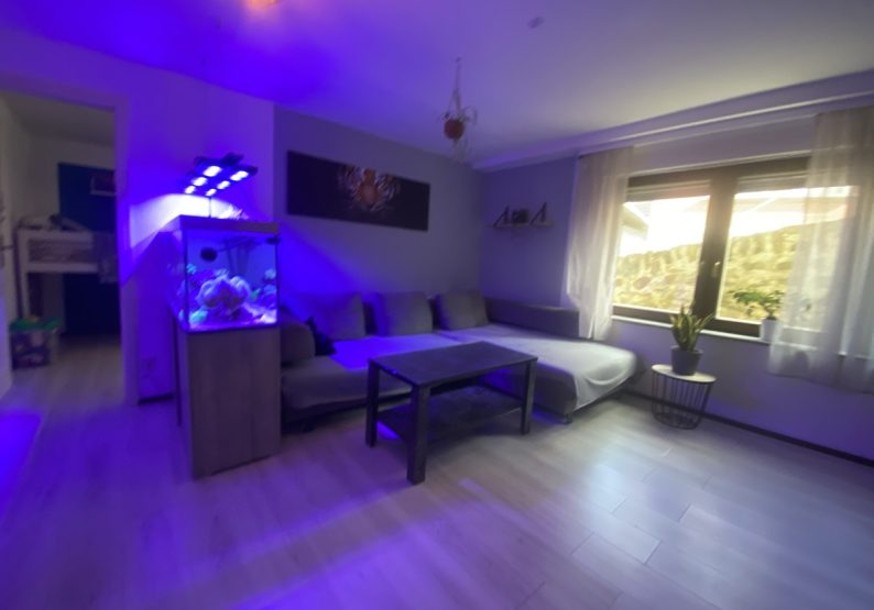 Wohnzimmer EG