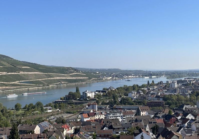 Ausblick