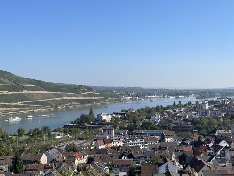 Mit exzellentem Rheinblick – sympathische Eigentumswohnung in Bingen